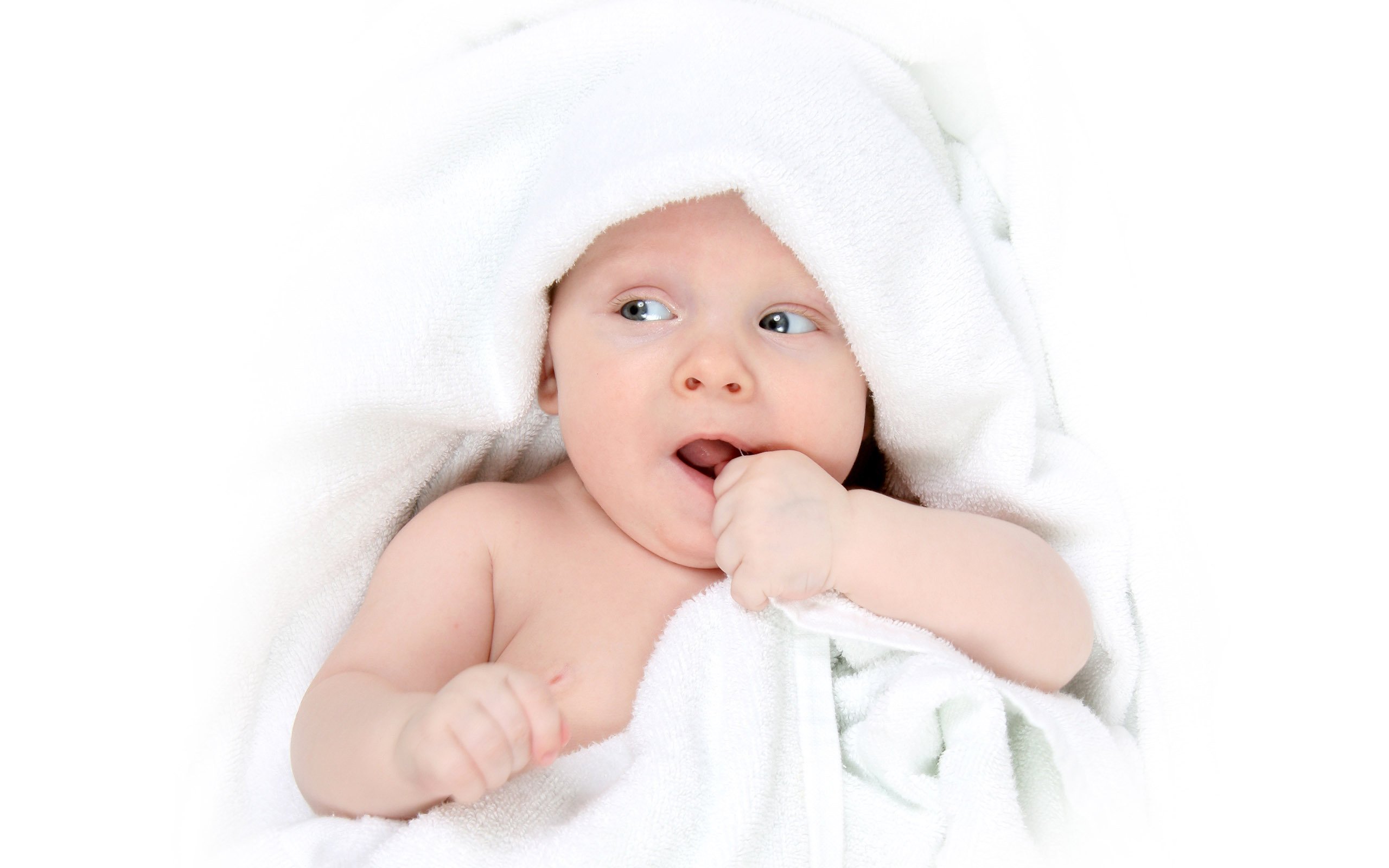 贵阳供卵联系方式供精试管婴儿成功率是多少